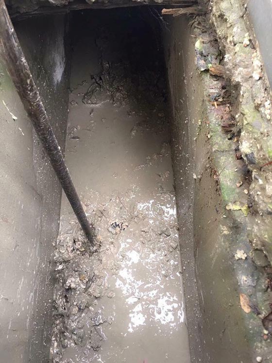 高雄清水溝